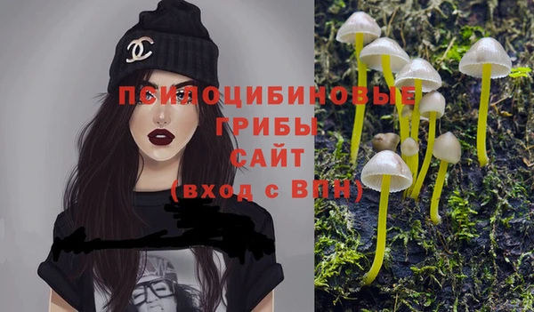 первитин Белокуриха