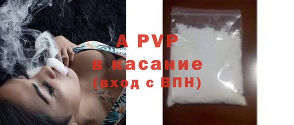 сатива Сосновка