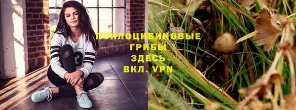 первитин Белокуриха