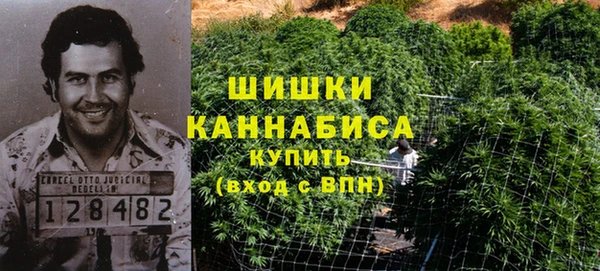 первитин Белокуриха