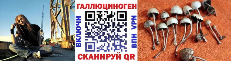 Псилоцибиновые грибы Magic Shrooms Высоковск